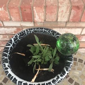 Meet your Posher, Annette